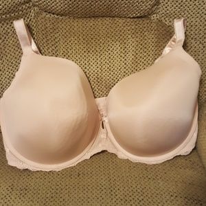 Torrid 40 G